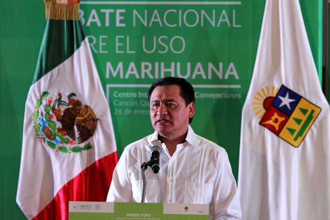 Se perfila apertura en uso terapéutico de la marihuana