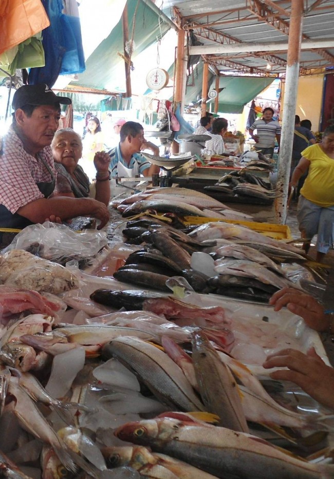 Hay abasto de pescado