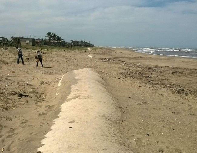 Erosión marina causa problemas