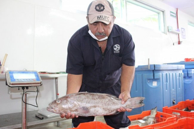 Garantizado el abasto de pescados para  Cuaresma y Semana Santa en zona costera