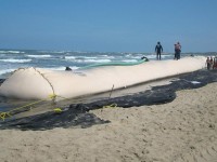 Quieren conocer en Magallanes el proyecto de rescate del litoral