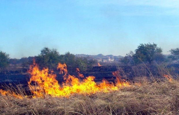 Alista IPC acciones para temporada de incendios