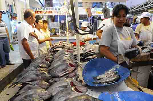 Garantizan el abasto de pescados y mariscos