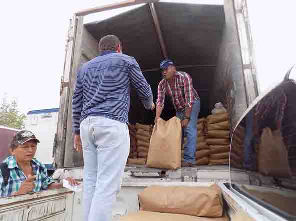 Sembrarán soya  en 4 municipios