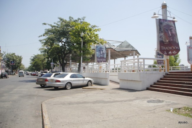 Dispuestos ambulantes a ubicarse en el CENMA