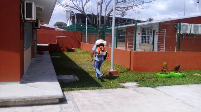 Fumigan parques y escuelas