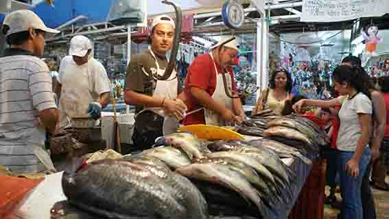 Garantizan abasto de pescados y mariscos