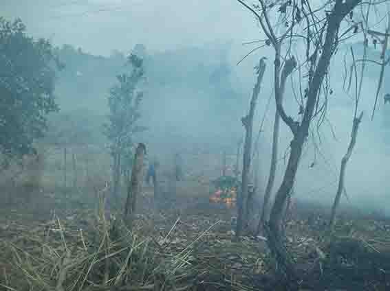 Cazadores provocan incendio en Mecoacán