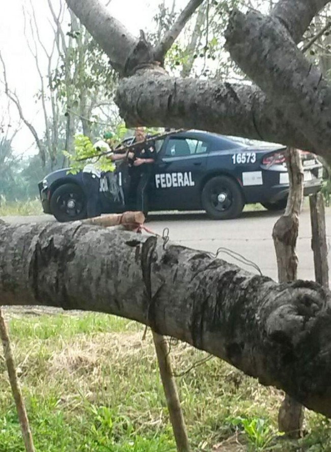 Federales acosan a los ganaderos