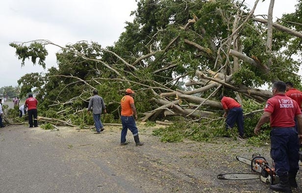 Torrencial aguacero ayudará a la agricultura y ganadería