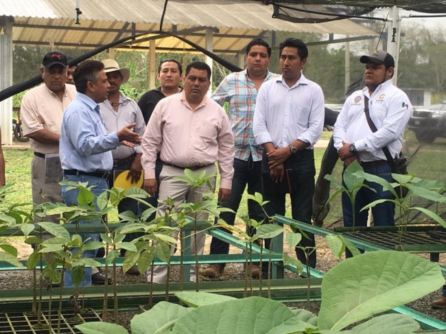 Vamos  impulsar el desarrollo agrícola:  Rafael Acosta