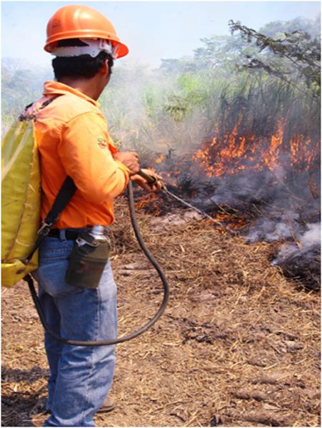 ‘Disminuyen incendios en Tabasco’