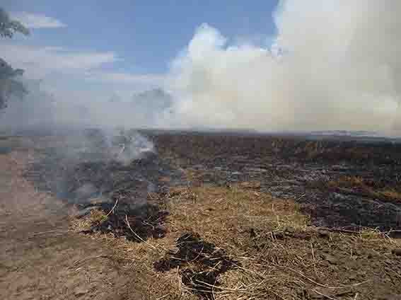 Atiende Protección Civil más  de 250 incendios