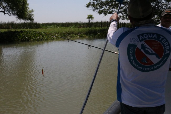 Tabasco, nuevo destino turístico Internacional de pesca deportiva