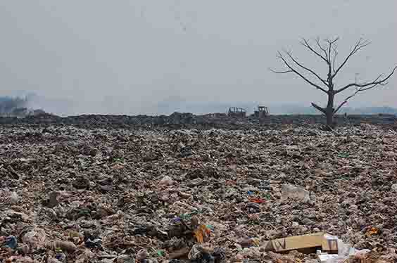 Urge una planta de tratamiento de basura