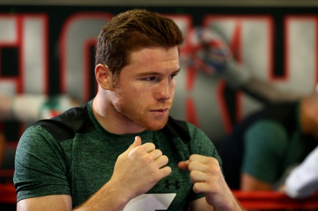 ‘Canelo’ enfrentará a Golovkin hasta 2017