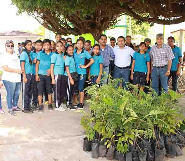 Entregan árboles para reforestar  áreas verdes