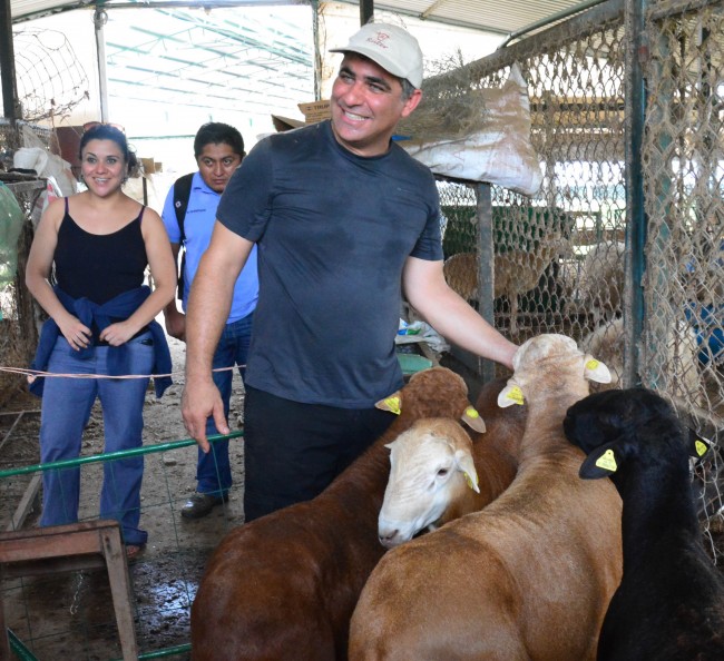 Imparte investigador en la UJAT taller sobre nutrición animal