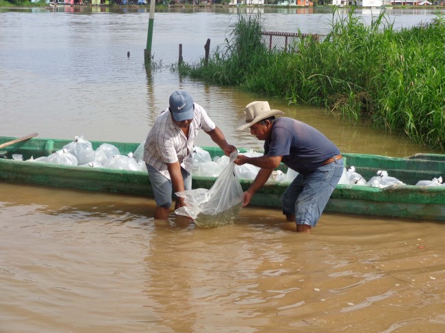 Habrá más pesca marina en Tabasco