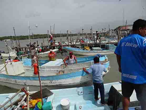 Repunta pesca en San Pedro