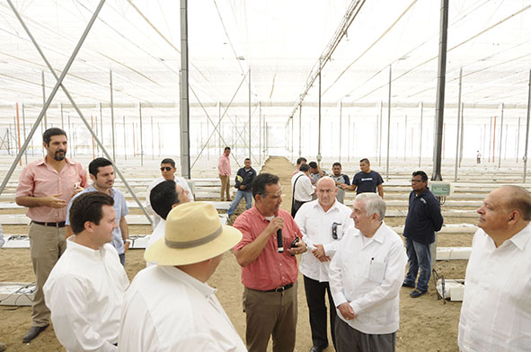 Tiempos de crisis, oportunidad  para innovar y despetrolizar  la economía de Tabasco