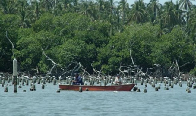 Siete mdp para dragar  laguna la ‘Machona’