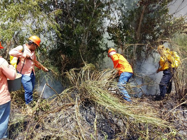 Atienden 700 incendios en temporada de sequía