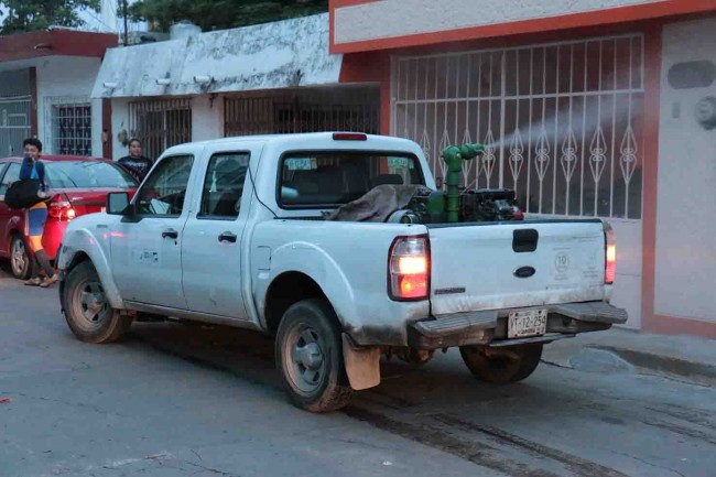 Realizarán operativo de fumigación en Centro