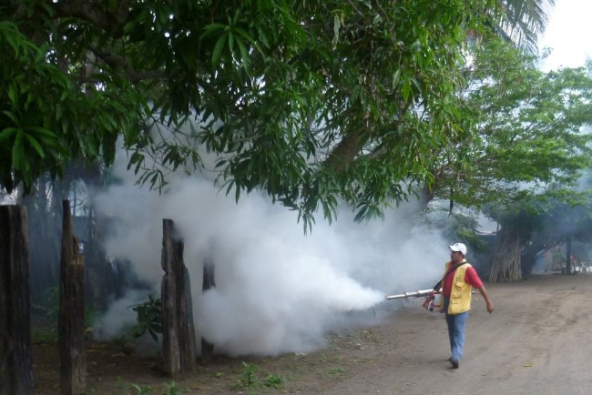 Garantizan el abasto de químicos para fumigar