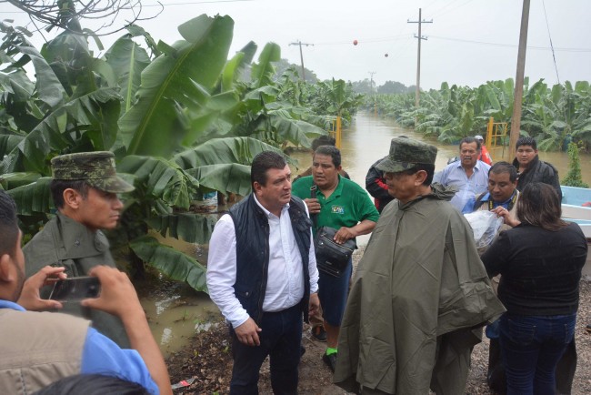 Afectados cultivos por las lluvias