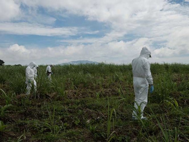 Exhumación de 35 cadáveres en fosa de Jojutla