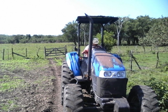 Rector de la UPM utiliza tractores para su rancho