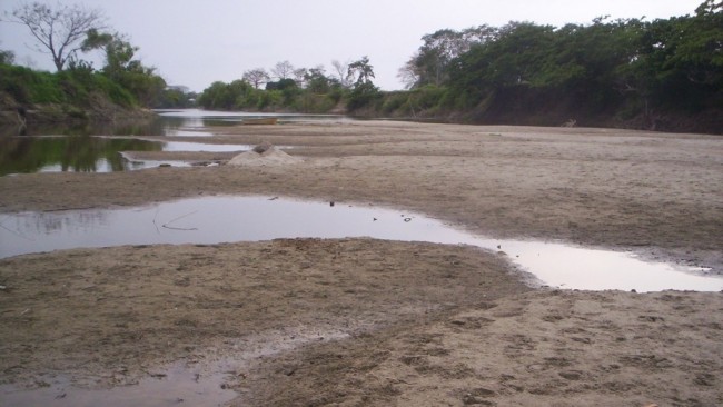 Ausencia de lluvias seca los jagüeyes