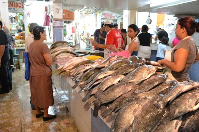 Llegó la Cuaresma y sube  el kilogramo de pescado