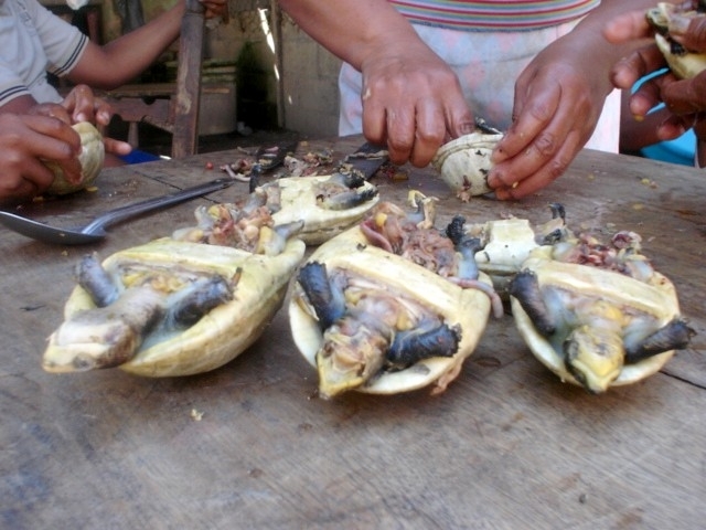 ‘Pochitoque en verde’ platillo de Cuaresma