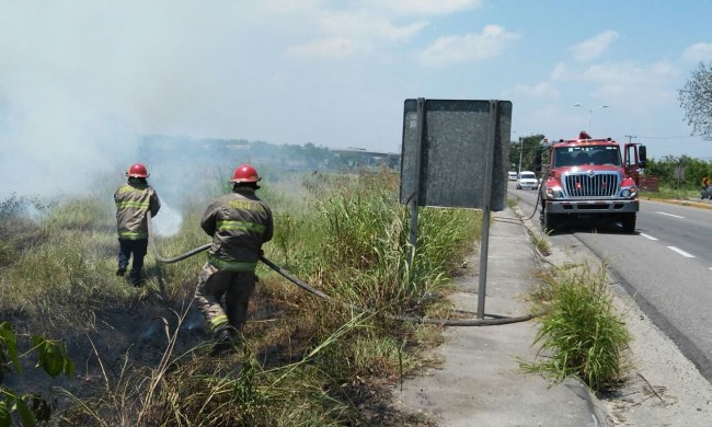 ‘Incrementan incendios en los pastizales’: Protección Civil