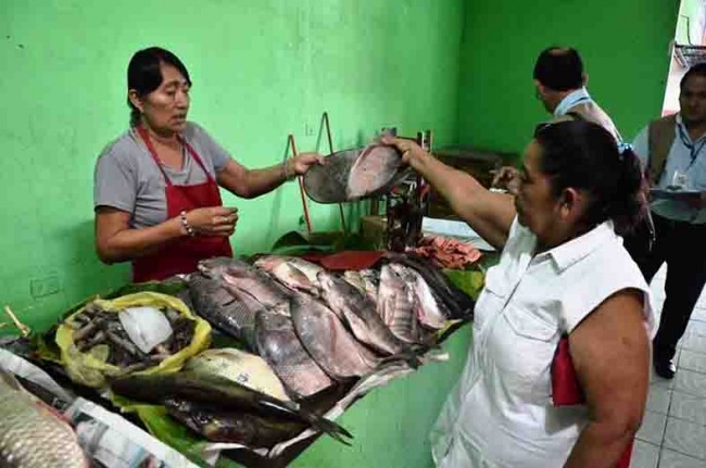 Llaman a extremar cuidados al comprar pescados y mariscos