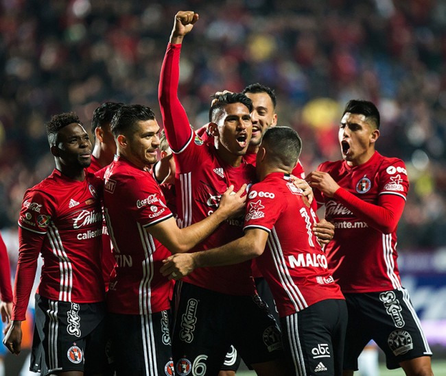 Xolos acaricia Liguilla