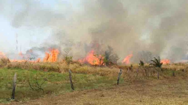 En jaque ganaderos por  la sequía e incendios