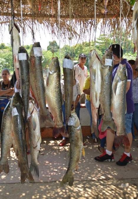 Pescan bobo escama de5 kilos