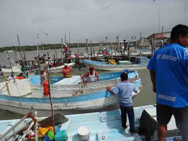 Hay producción de pescado en Centla