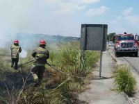 ‘Aumentan un 50% los incendios’: IPC