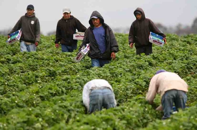 Requerirá EU 4 millones de  trabajadores mexicanos