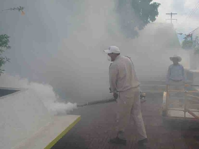 Aplicarán fumigación y descacharrización en Centro