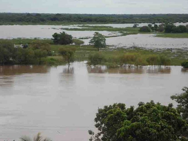 Inunda el Usumacinta zonas bajas de Jonuta