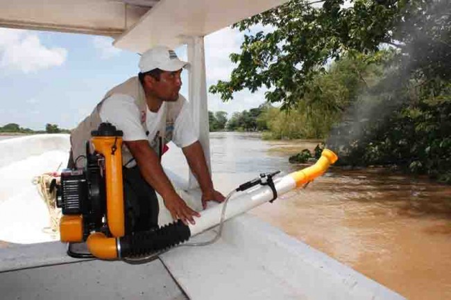 Fumigan para prevenir contagios de dengue