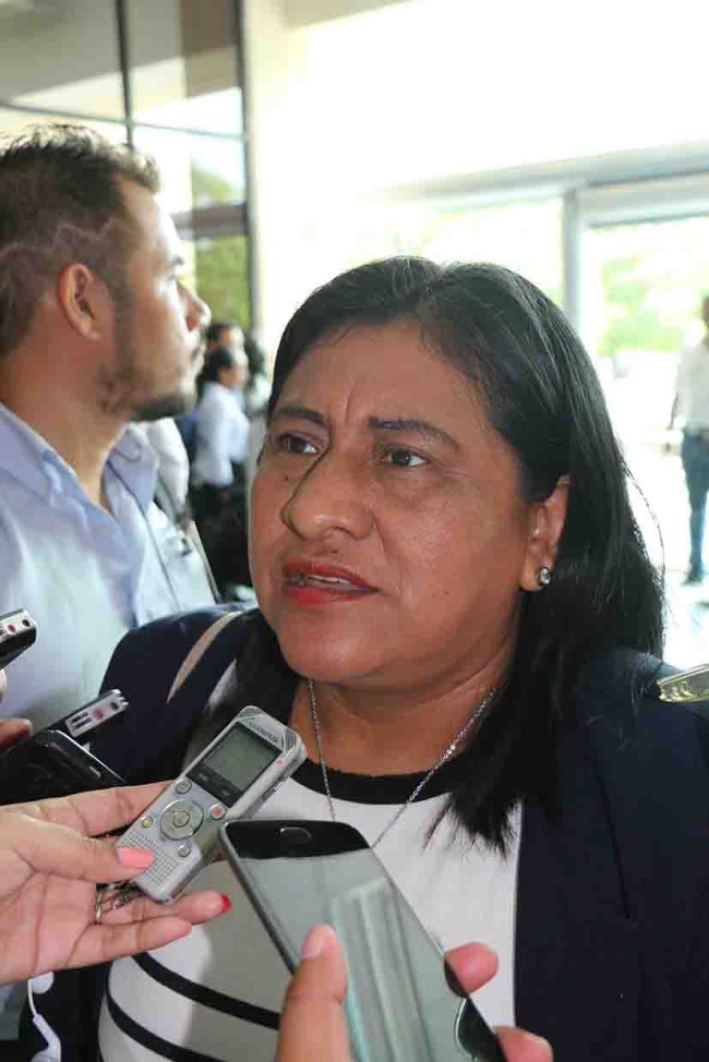 ‘Somellera debe entregar presidencia de Comisión de Educación’: Diputada