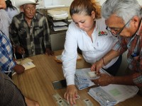 Restringido tránsito de ganado para combatir abigeato: Sedafop