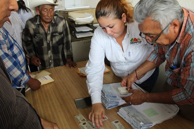 Restringido tránsito de ganado para combatir abigeato: Sedafop