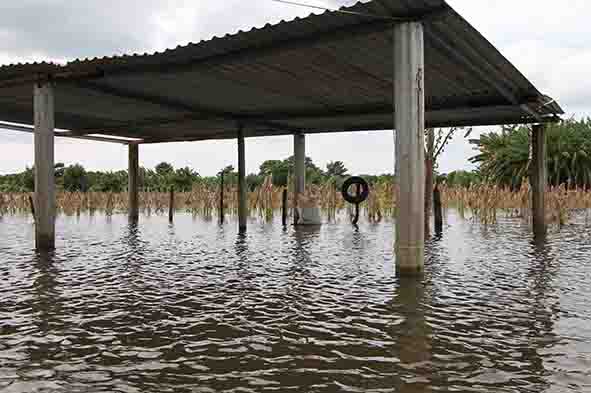 Bajó el Usumacinta; pero sigue la alerta